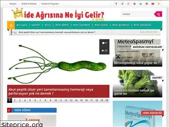 mideagrisinaneiyigelir.com