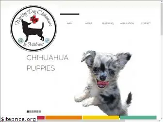 midwestchihuahuas.com