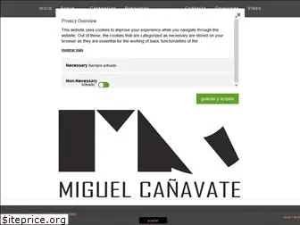 miguelcanavate.com