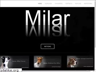 milarfoxterrier.com