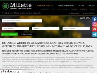 millettephotomedia.com