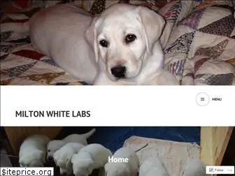 miltonwhitelabs.com