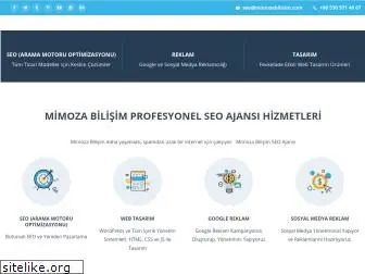 mimozabilisim.com