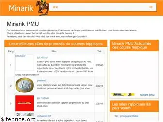 minarik-pmu.com
