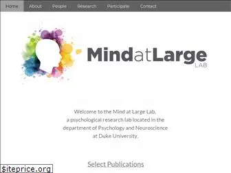 mindatlargelab.com