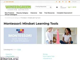 mindsetlearningtools.com