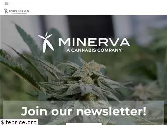 minervacanna.com