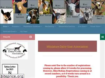 miniaturedairygoats.net