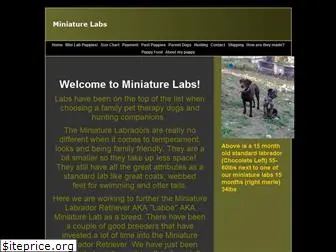 miniaturelabs.net