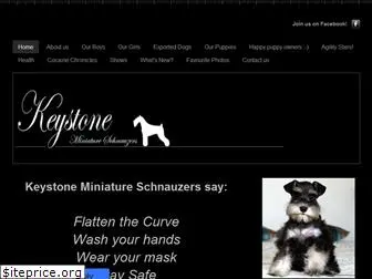 miniatureschnauzers.co.za