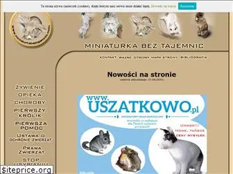 miniaturkabeztajemnic.com