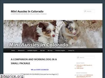 miniaussiesincolorado.com