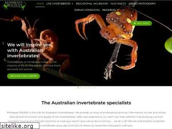 minibeastwildlife.com.au