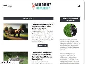 minidonkeyuniversity.com