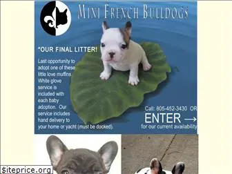 minifrenchbulldogs.com