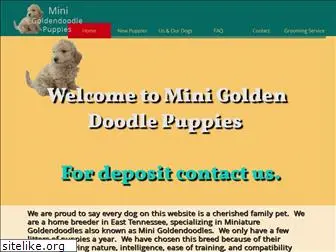 minigoldendoodlepuppies.com