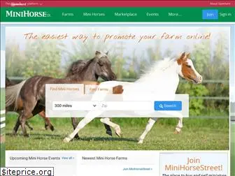 minihorsestreet.com