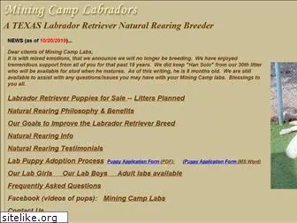 miningcamplabs.com