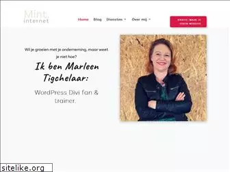mintinternet.nl