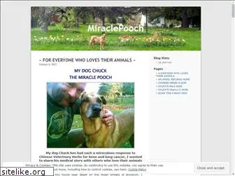 miraclepooch.wordpress.com