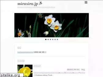 mirusiru.jp