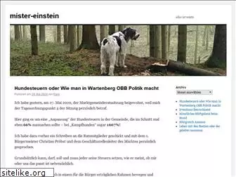 mister-einstein.com