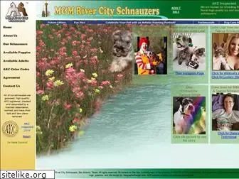 mmrivercityschnauzers.com