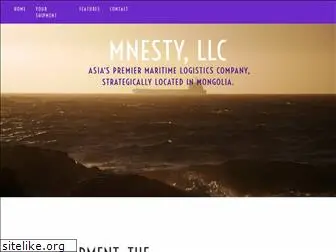 mnesty.com