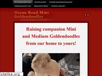 mnminigoldendoodles.com