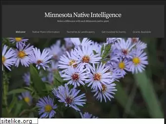 mnnativeintelligence.com