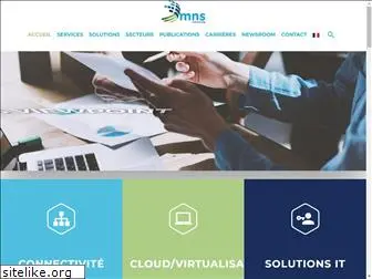 mns-consulting.com