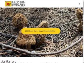 modern-forager.com