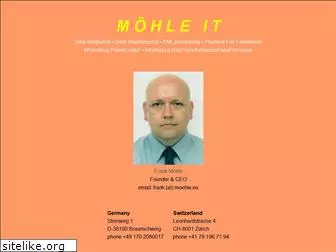 moehle-consulting.com