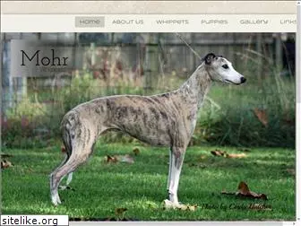 mohrwhippets.com