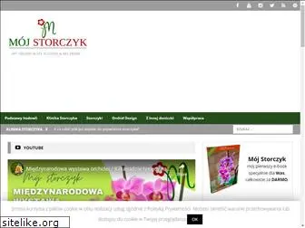 mojstorczyk.pl