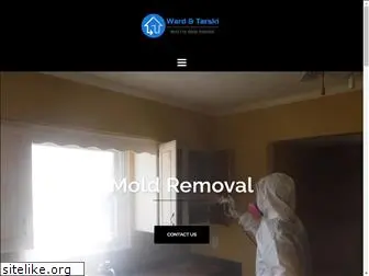 mold-fire-water.com
