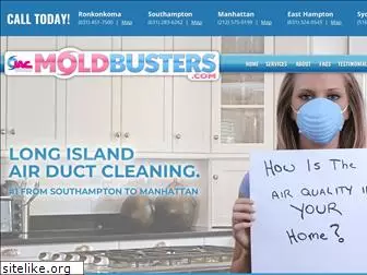 moldbusters.com