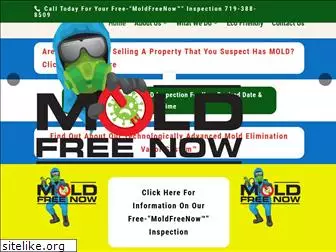 moldfreenow.com