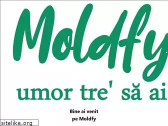 moldfy.com