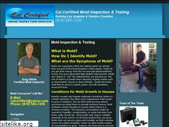 moldinspectionandtesting.net