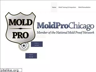 moldprochicago.com