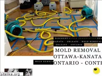 moldremovalinottawa.ca