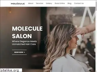 moleculesalon.com