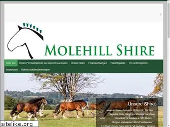 molehill-shire.com