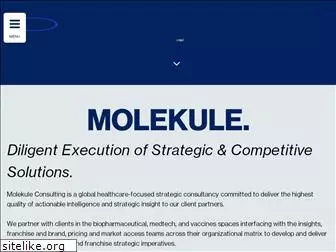 molekuleconsulting.com