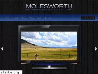 molesworth.com