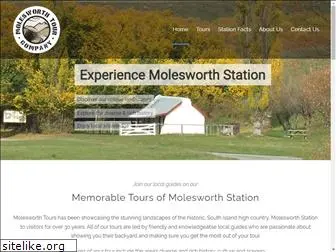 molesworthtours.co.nz