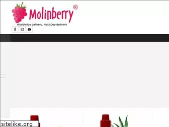 molinberryflavours.com