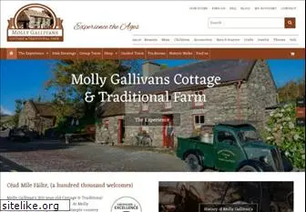 mollygallivans.com