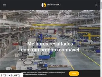 mollyn.com.br